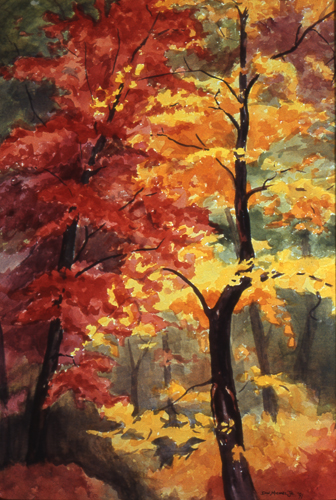 Fall Foliage